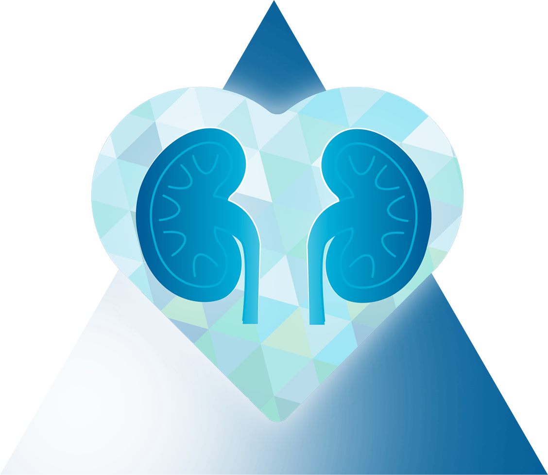 Hero Section Background Image