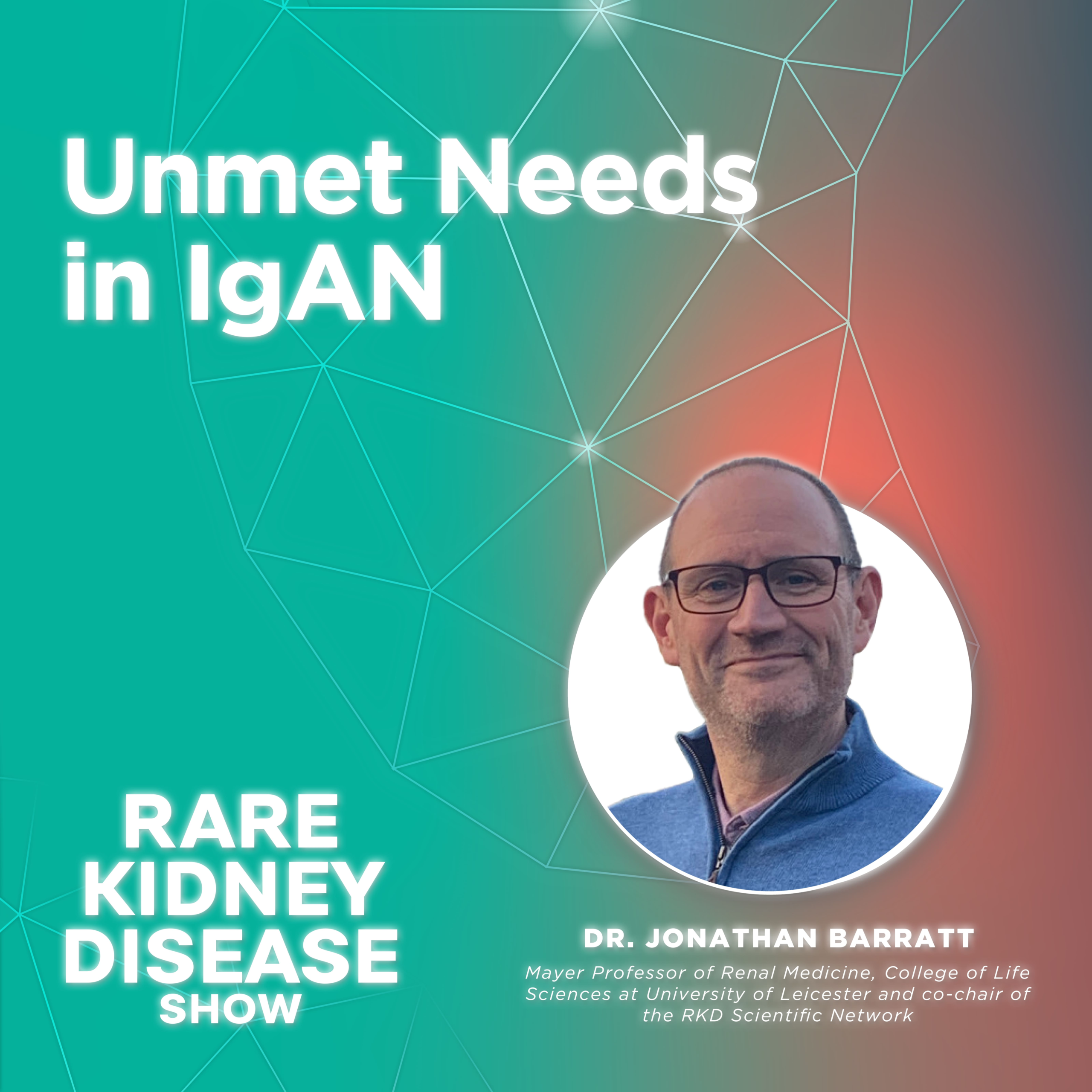 Unmet Needs in IgAN