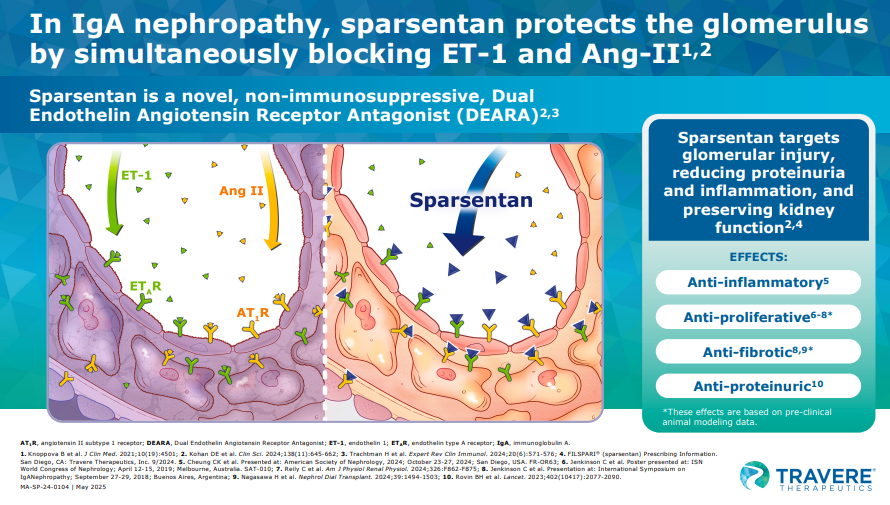 IgAN: Explore the sparsentan mode of action 