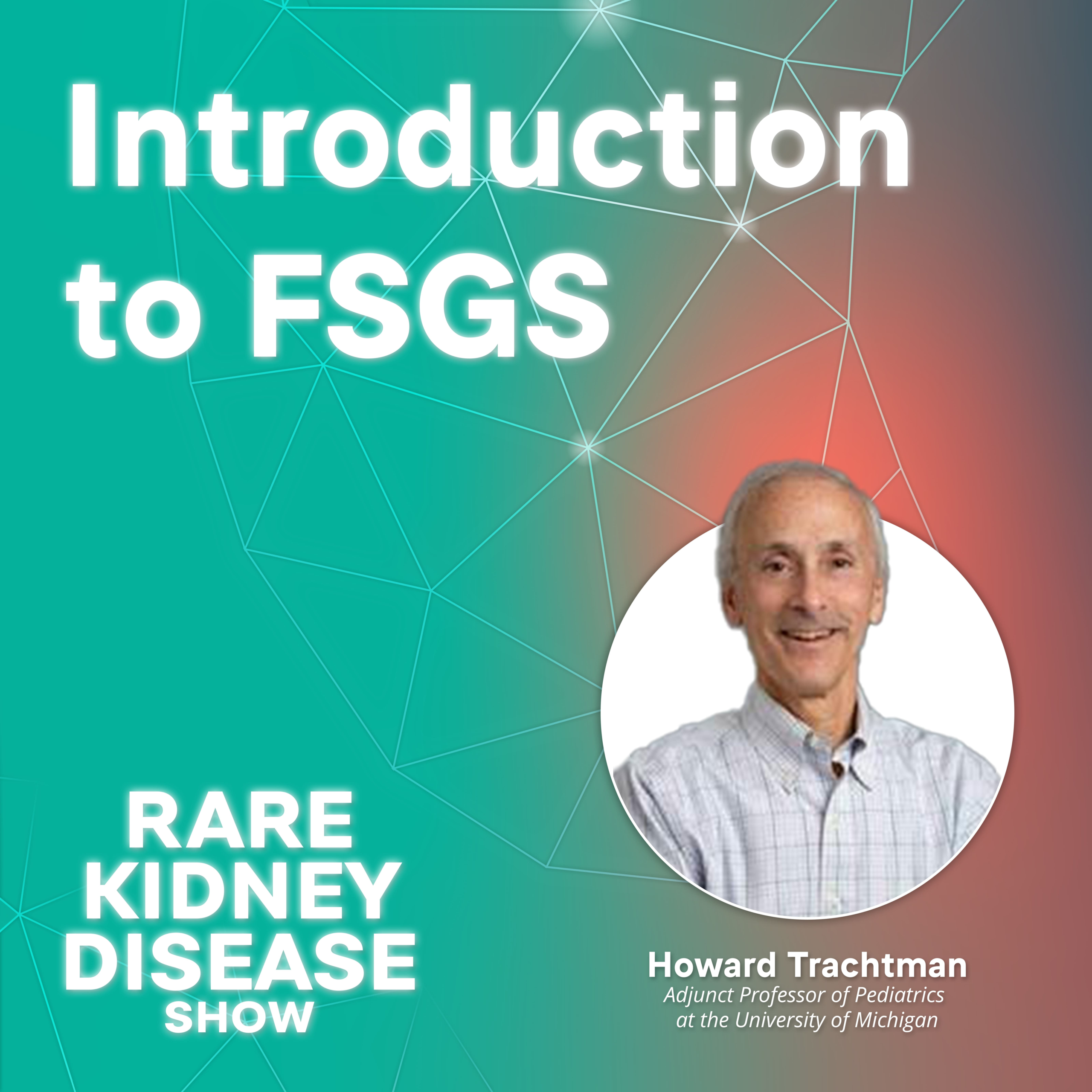 Introduction to FSGS